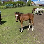 Bauernhof Agro Na Wapniarni *