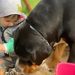 Agro Na Wapniarni Bauernhof Biala (Trzcianka, Czarnkow-Trzcianka)