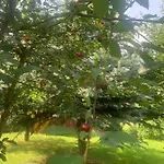 Bauernhof Agro Na Wapniarni