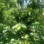 Agro Na Wapniarni * Biala (Trzcianka, Czarnkow-Trzcianka)