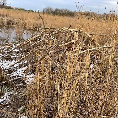 Agro Na Wapniarni * Biala (Trzcianka, Czarnkow-Trzcianka)