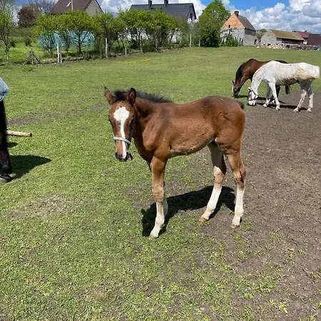 Bauernhof Agro Na Wapniarni *