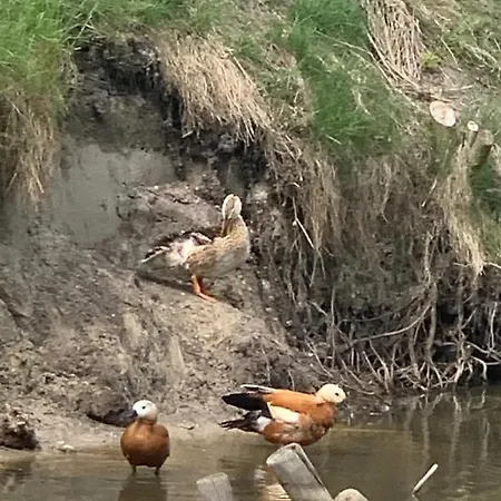 Agro Na Wapniarni * Biala (Trzcianka, Czarnkow-Trzcianka)