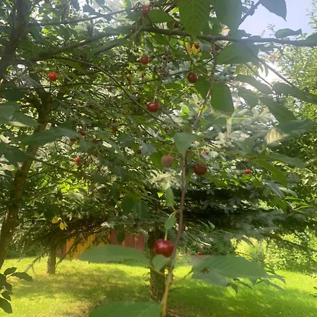 Gospodarstwo agroturystyczne Agro Na Wapniarni