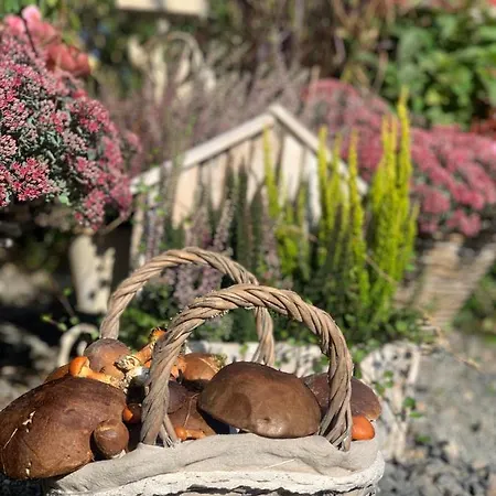 Agro Na Wapniarni Biala (Trzcianka, Czarnkow-Trzcianka)