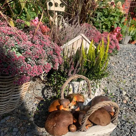 Gospodarstwo agroturystyczne Agro Na Wapniarni *