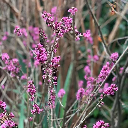 Agro Na Wapniarni * Biala (Trzcianka, Czarnkow-Trzcianka)