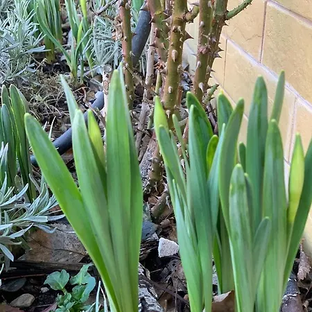 Agro Na Wapniarni Gospodarstwo agroturystyczne *