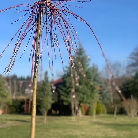 Gospodarstwo agroturystyczne Agro Na Wapniarni *