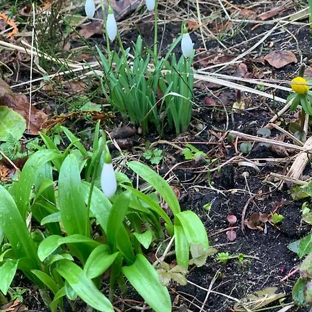 Agro Na Wapniarni Biala (Trzcianka, Czarnkow-Trzcianka)