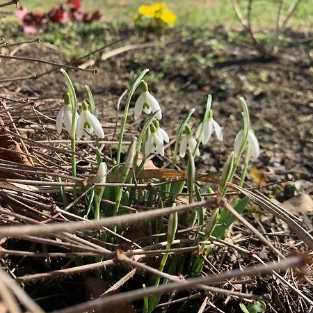 Agro Na Wapniarni Gospodarstwo agroturystyczne *
