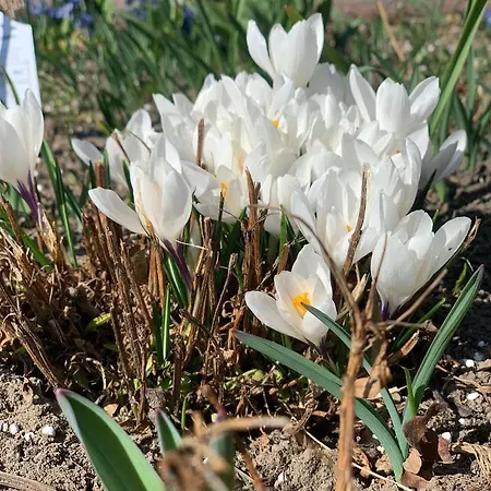 Bauernhof Agro Na Wapniarni *