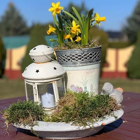Agro Na Wapniarni Farm stay