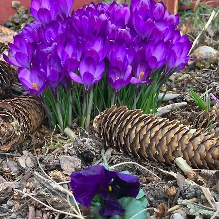 Farm stay Agro Na Wapniarni