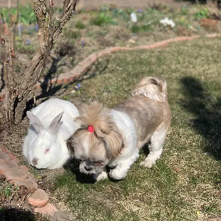 Gospodarstwo agroturystyczne Agro Na Wapniarni