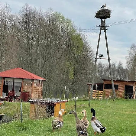 Farm stay Agro Na Wapniarni