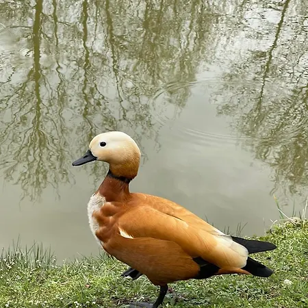 Agro Na Wapniarni * Biala (Trzcianka, Czarnkow-Trzcianka)