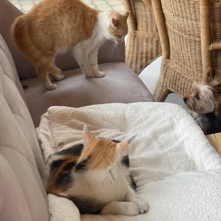 Agro Na Wapniarni Gospodarstwo agroturystyczne