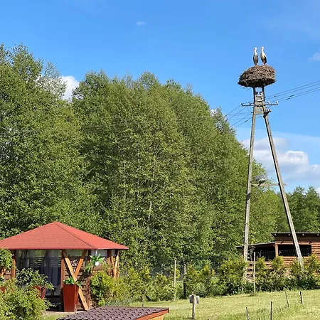 Agro Na Wapniarni Biala (Trzcianka, Czarnkow-Trzcianka)