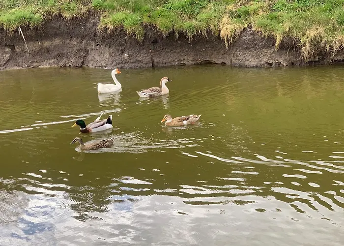 Agro Na Wapniarni Farm stay *