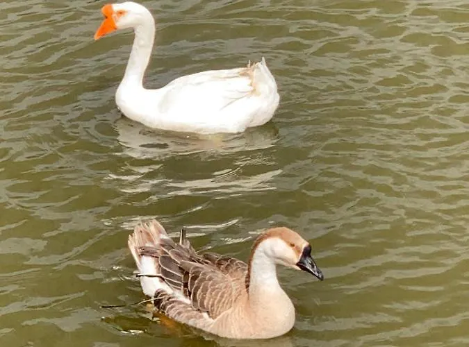 Agro Na Wapniarni 农家乐