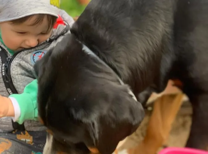 Agro Na Wapniarni 农家乐 Biala (Trzcianka, Czarnkow-Trzcianka)