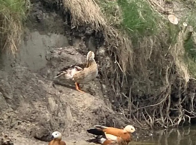Agro Na Wapniarni * Biala (Trzcianka, Czarnkow-Trzcianka)