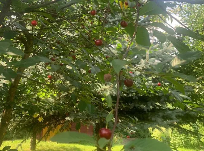 Farm stay Agro Na Wapniarni