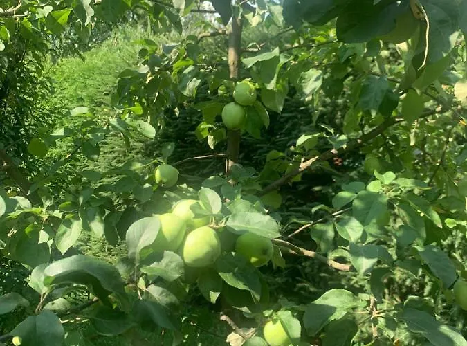 Agro Na Wapniarni * Biala (Trzcianka, Czarnkow-Trzcianka)