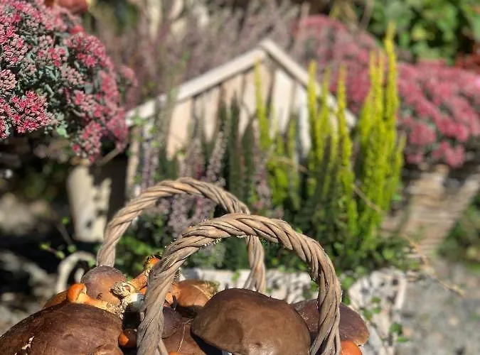 Agro Na Wapniarni Biala (Trzcianka, Czarnkow-Trzcianka)