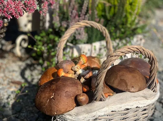 Agro Na Wapniarni Farm stay