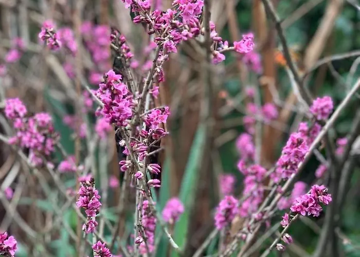 Agro Na Wapniarni * Biala (Trzcianka, Czarnkow-Trzcianka)