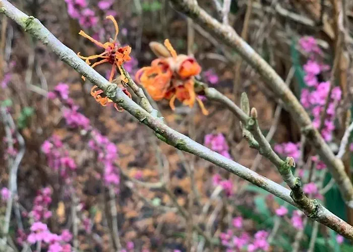 Agro Na Wapniarni 农家乐