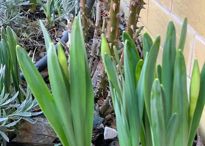 Agro Na Wapniarni Farm stay *