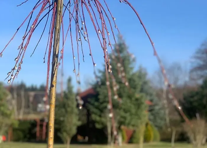 农家乐 Agro Na Wapniarni *