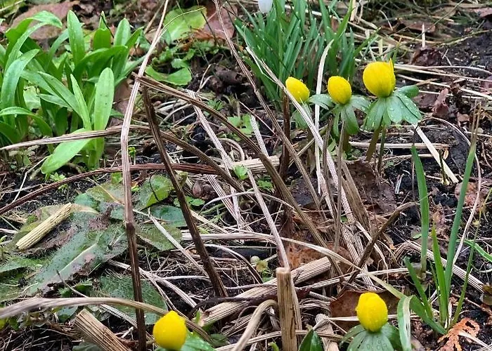 Agro Na Wapniarni Farm stay