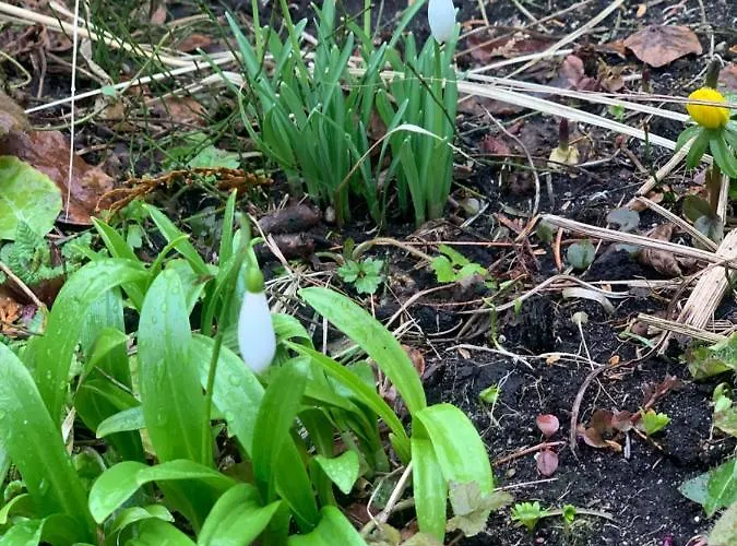 Agro Na Wapniarni Biala (Trzcianka, Czarnkow-Trzcianka)