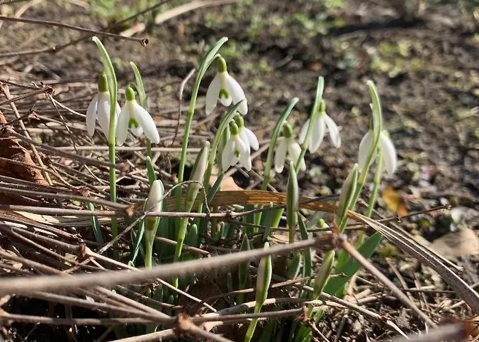 Agro Na Wapniarni Farm stay *