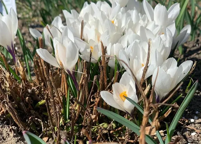 农家乐 Agro Na Wapniarni *