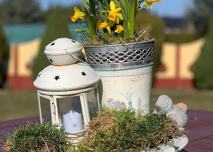 Agro Na Wapniarni 农家乐