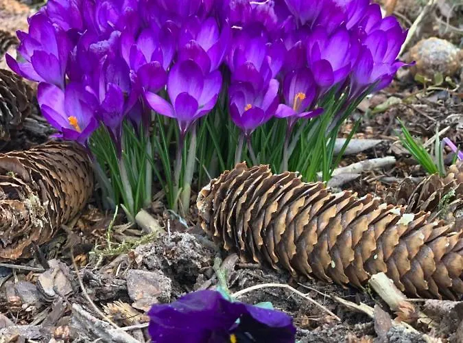 Farm stay Agro Na Wapniarni