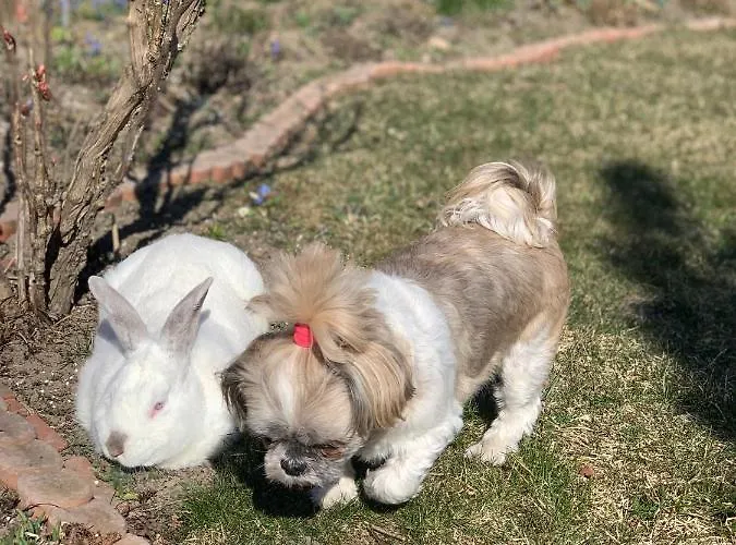 Farm stay Agro Na Wapniarni