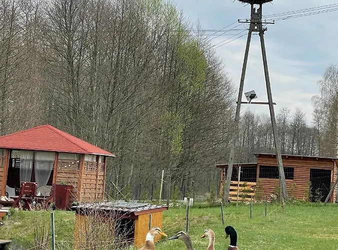 Farm stay Agro Na Wapniarni