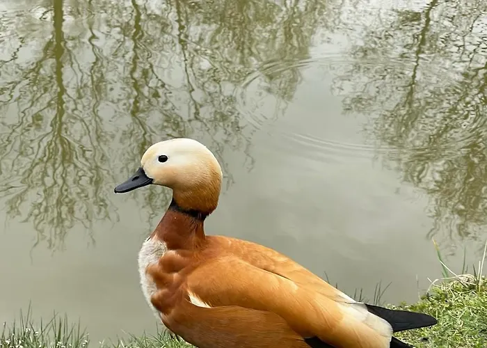 Agro Na Wapniarni * Biala (Trzcianka, Czarnkow-Trzcianka)