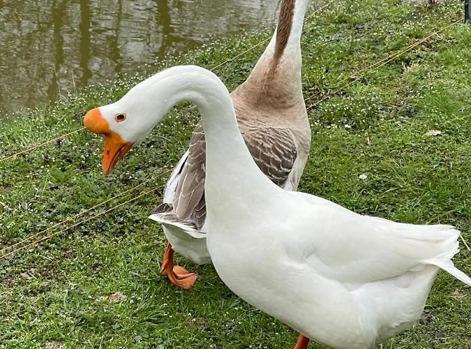 Agro Na Wapniarni Biala (Trzcianka, Czarnkow-Trzcianka)