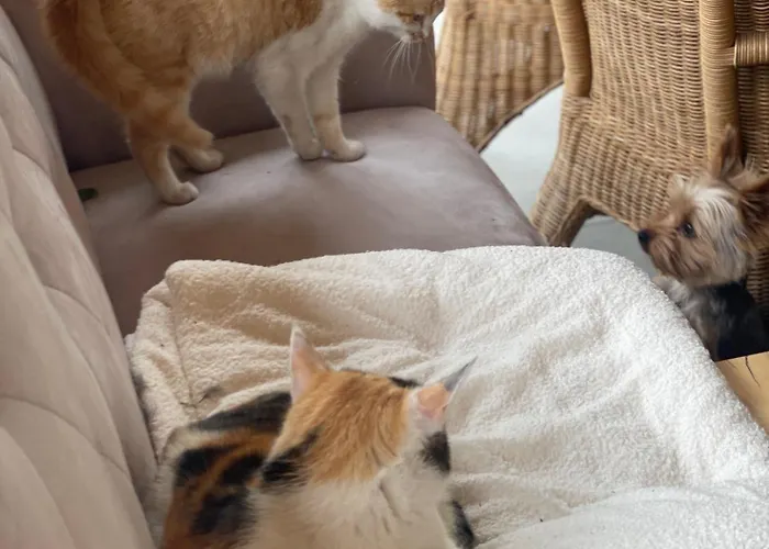 Agro Na Wapniarni 农家乐