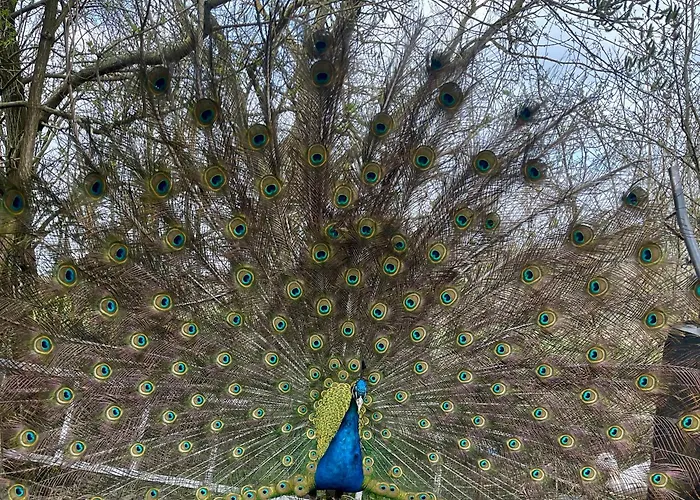 Agro Na Wapniarni 农家乐 Biala (Trzcianka, Czarnkow-Trzcianka)